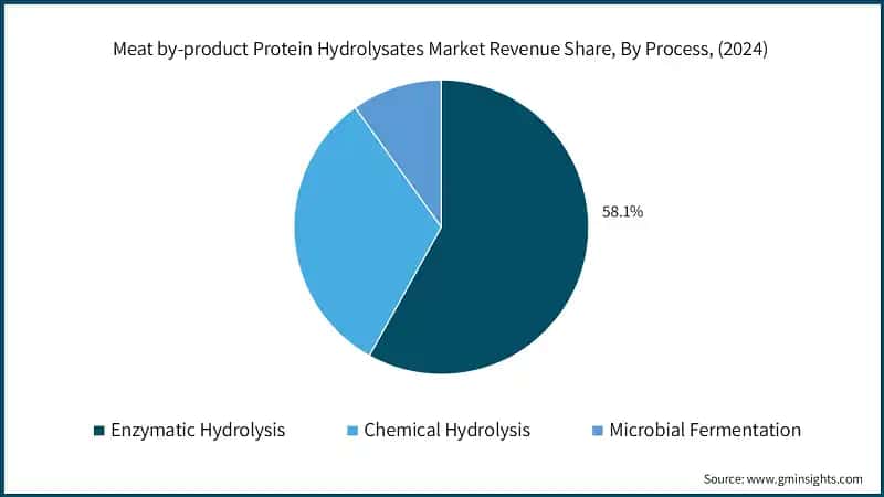 Meat by-product Protein Hydrolysates Market Revenue Share, By Process, (2024)