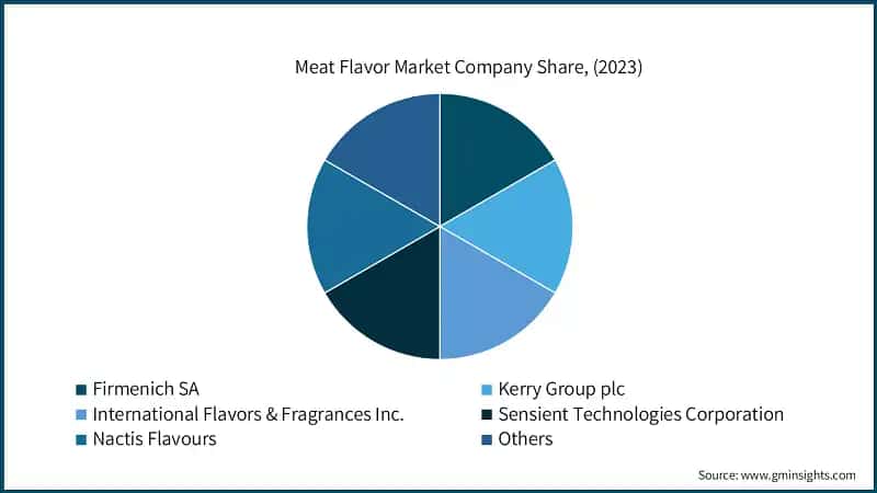 Meat Flavor Market Company Share, (2023)