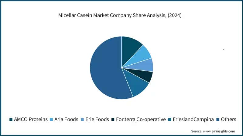 Micellar Casein Market Company Share Analysis, (2024)