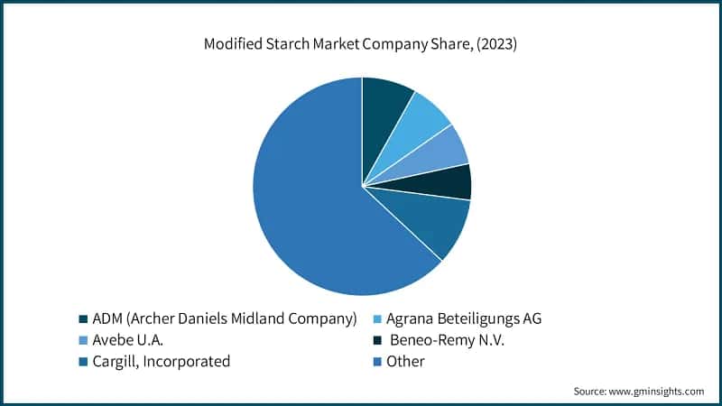 Modified Starch Market Company Share, (2023)