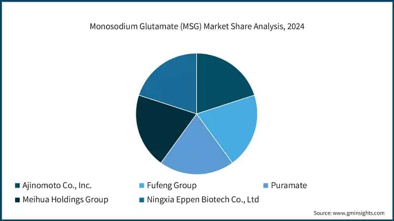 Monosodium Glutamate (MSG) Market Share Analysis, 2024