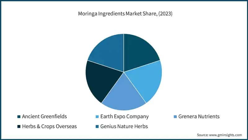 Moringa Ingredients Market Share, (2023)