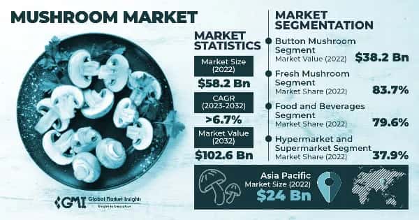 Mushroom Market