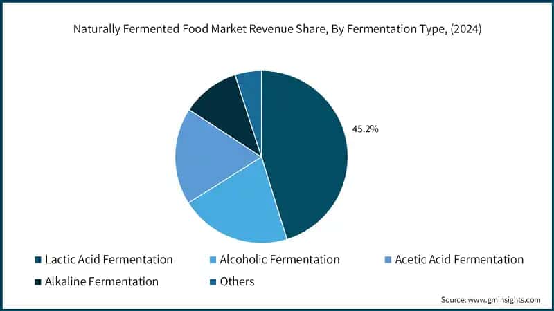 Naturally Fermented Food Market Revenue Share, By Fermentation Type, (2024)