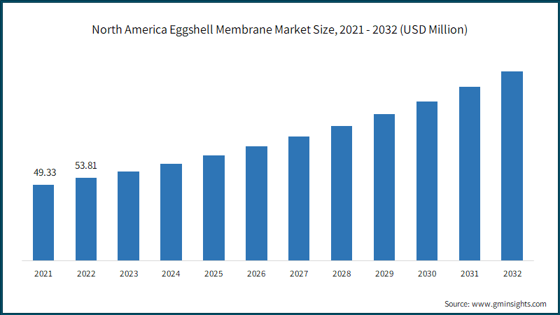 North America Eggshell Membrane Market Size, 2021 - 2032 (USD Million)