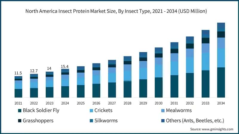 North America Insect Protein Market Size, By Insect Type, 2021 - 2034 (USD Million)