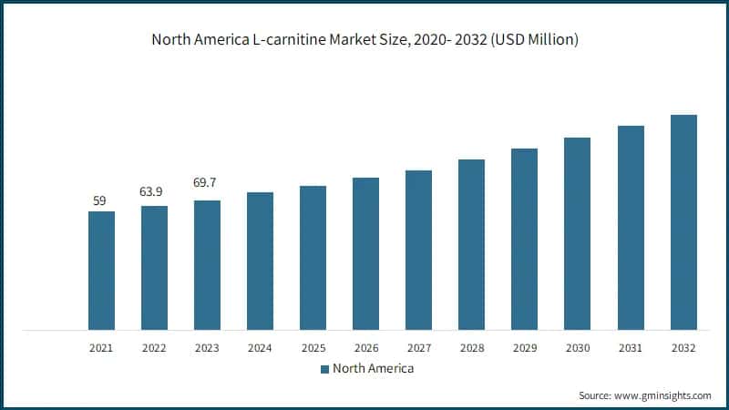 North America L-carnitine Market Size, 2020- 2032 (USD Million)