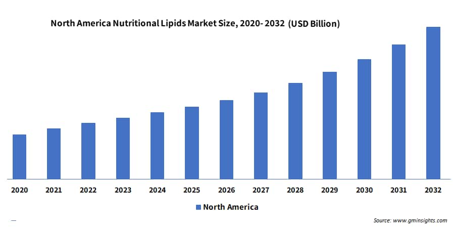 Nutritional Lipids Market Revenue By Region