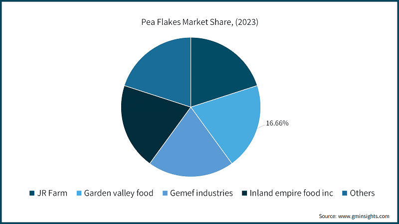 Pea Flakes Market Share, (2023)