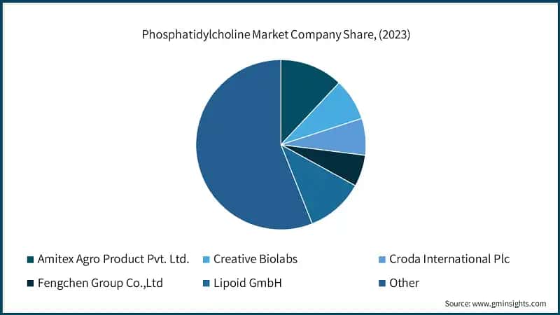 Phosphatidylcholine Market Company Share, (2023)