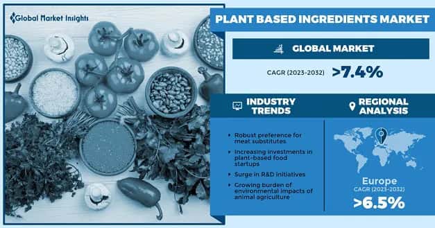 Plant Based Ingredients Market
