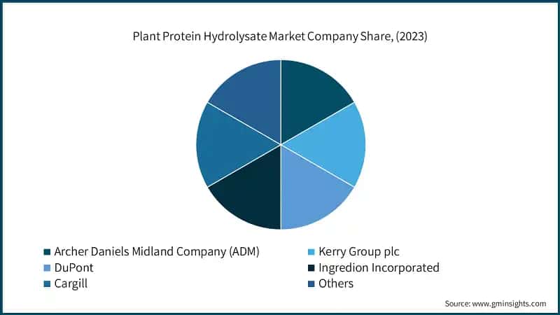 Plant Protein Hydrolysate Market Company Share, (2023)