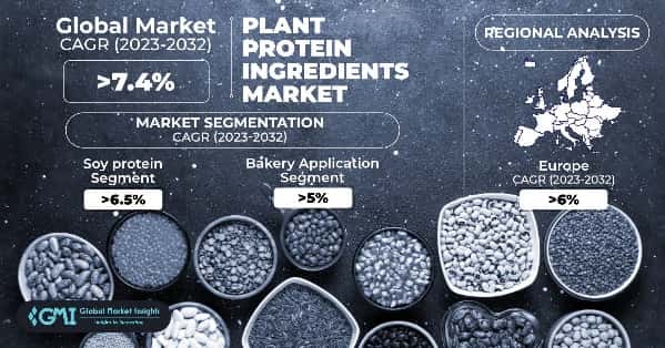 Plant Protein Ingredients Market