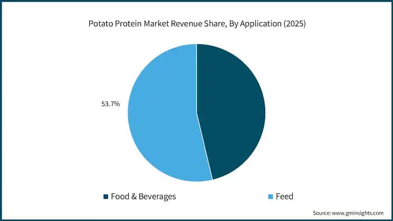 Potato Protein Market Revenue Share, By Application (2025)