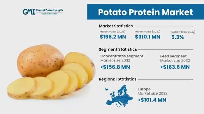 Potato Protein Market