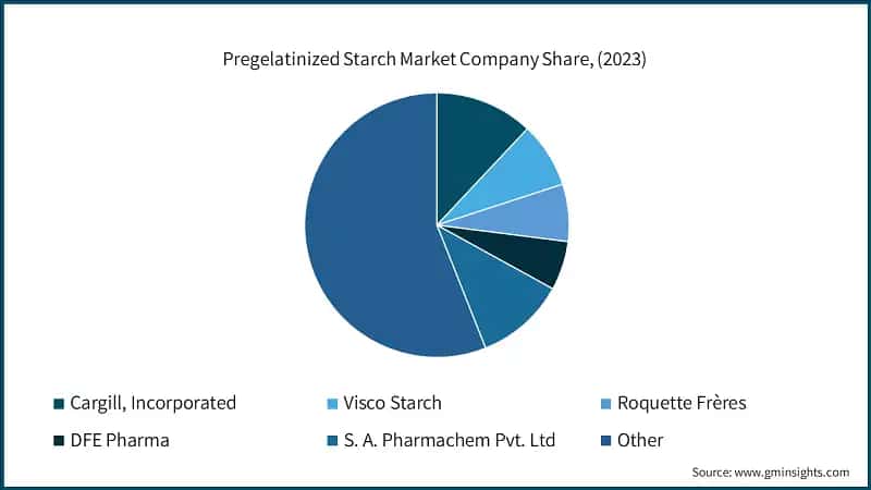 Pregelatinized Starch Market Company Share, (2023)