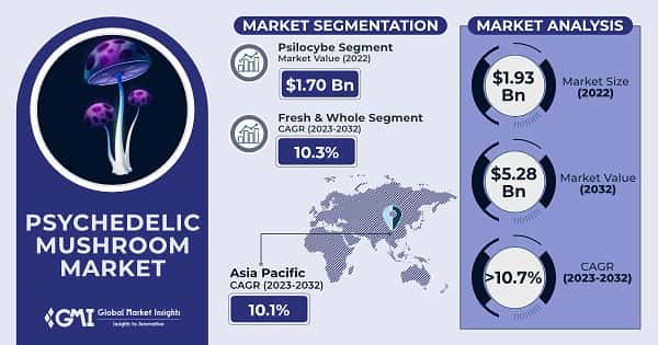 Psychedelic Mushroom Market 