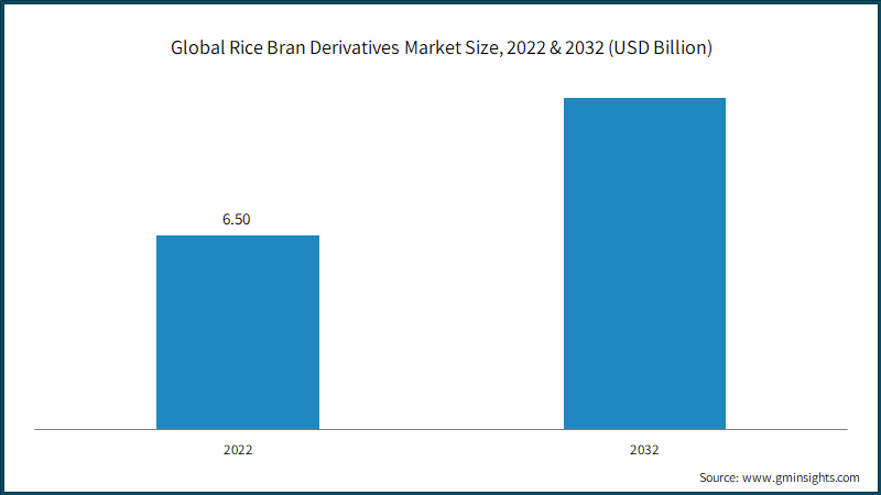 Rice Bran Derivatives Market Size, 2022 & 2032 (USD Billion)