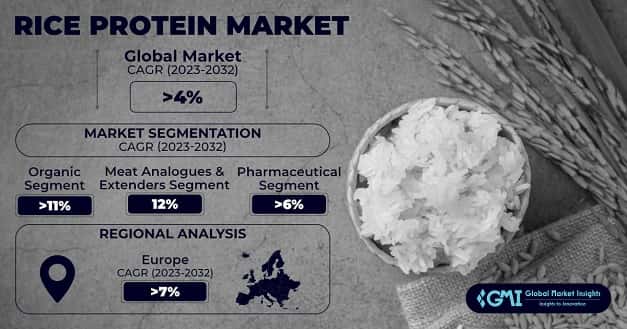Rice Protein Market size