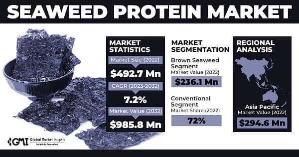 Seaweed Protein Market