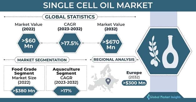 Single Cell Oil Market