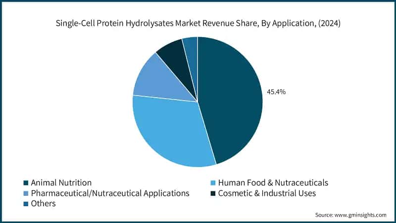 Single-Cell Protein Hydrolysates Market Revenue Share, By Application, (2024)