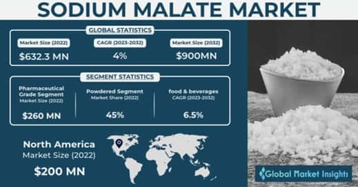 Sodium Malate Market