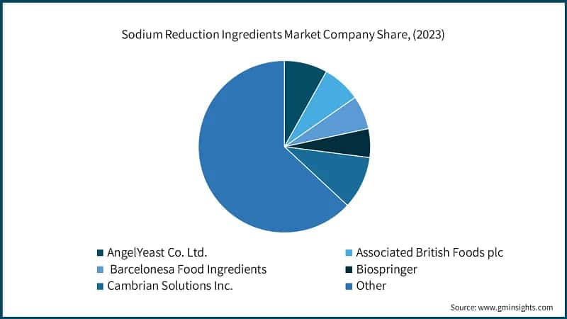 Sodium Reduction Ingredients Market Company Share, (2023)