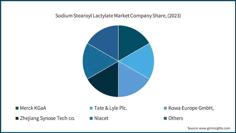 Sodium Stearoyl Lactylate Market Company Share, (2023)