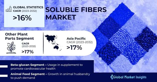 Soluble Fibers Market