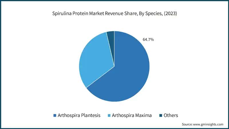 Spirulina Protein Market Revenue Share, By Species, (2023)