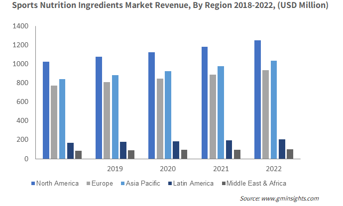 Sports Nutrition Ingredients Market Revenue, By Region