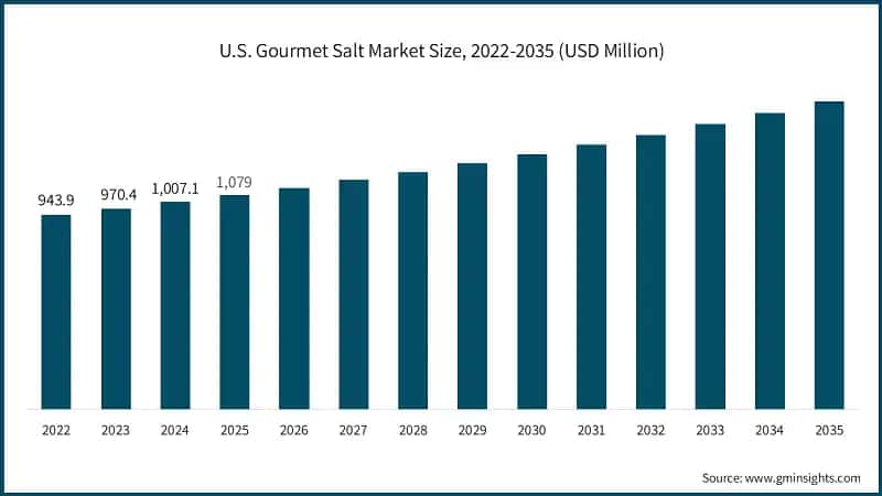 U.S. Gourmet Salt Market Size, 2022-2035 (USD Million)