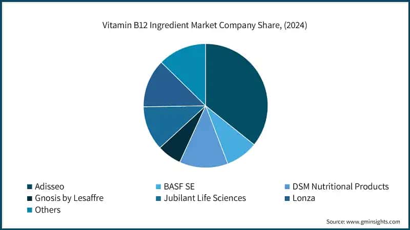 Vitamin B12 Ingredient Market Company Share, (2024)