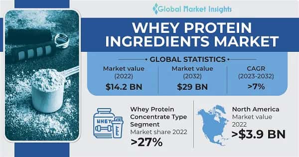 Whey Protein Ingredients Market