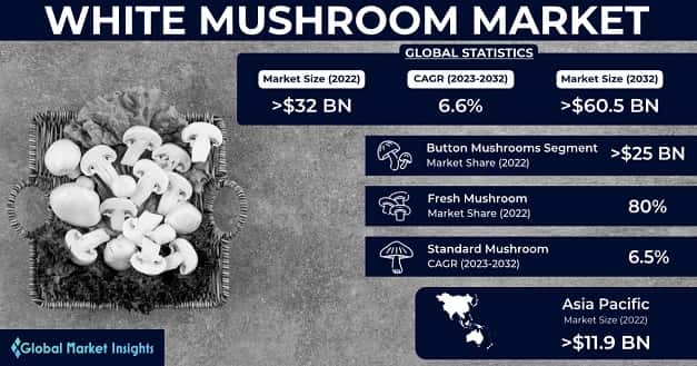 White Mushroom Market 