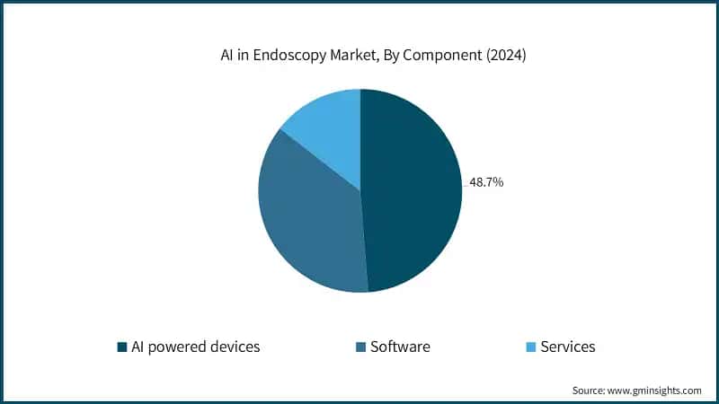 AI in Endoscopy Market, By Component (2024)