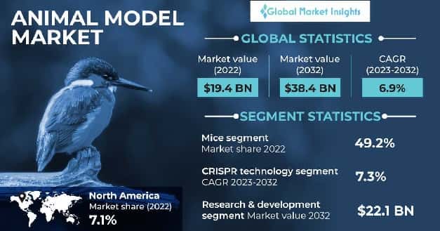 Animal Model Market 