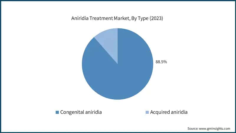 Aniridia Treatment Market, By Type (2023)
