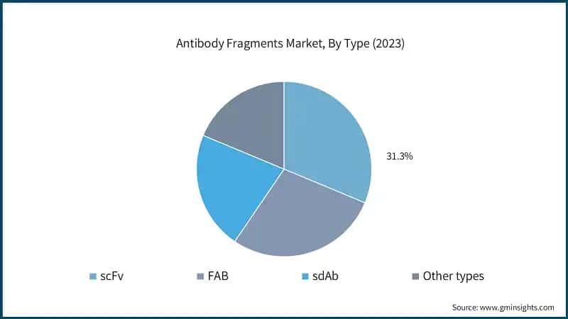 Antibody Fragments Market, By Type (2023)