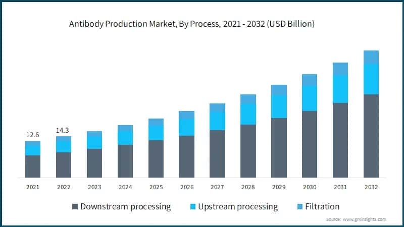Antibody Production Market, By Process, 2021 - 2032 (USD Billion)