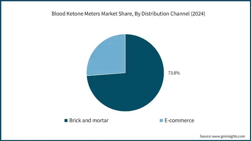 Blood Ketone Meters Market Share, By Distribution Channel (2024)