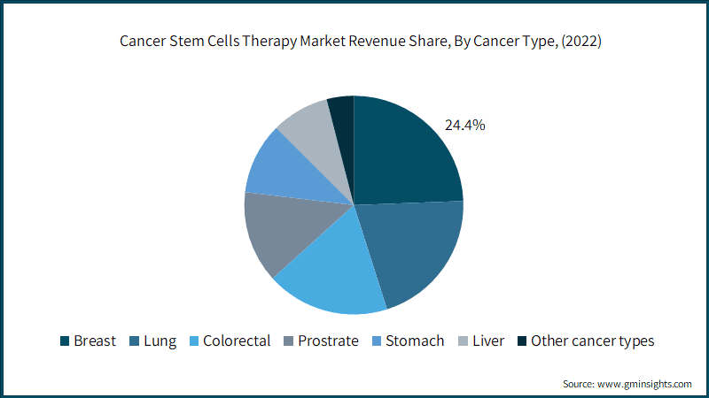 Cancer Stem Cells Therapy Market Revenue Share, By Cancer Type, (2022)