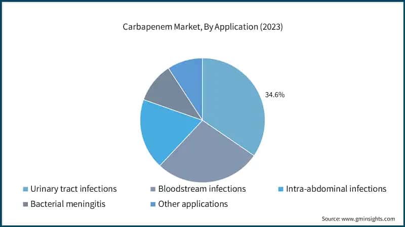 Carbapenem Market, By Application (2023)
