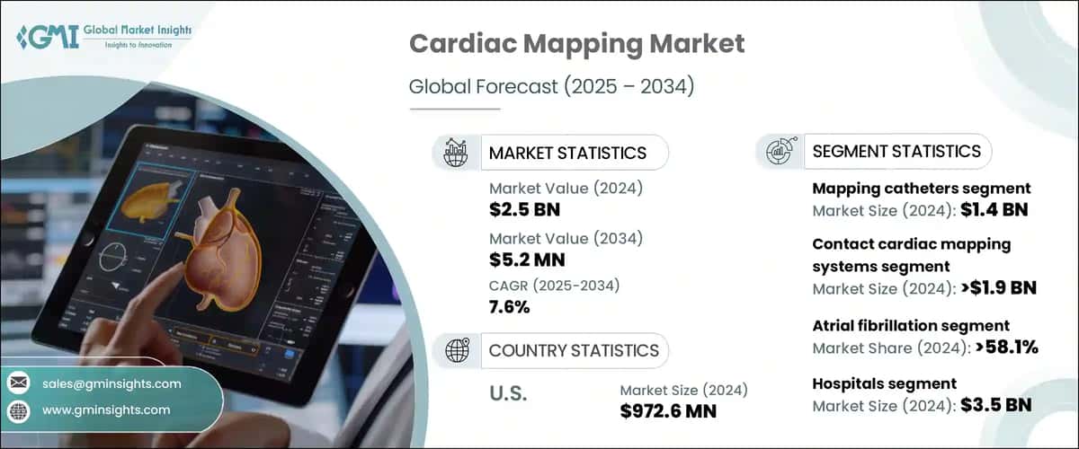 Cardiac Mapping Market