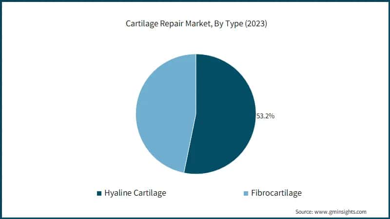 Cartilage Repair Market, By Type (2023)