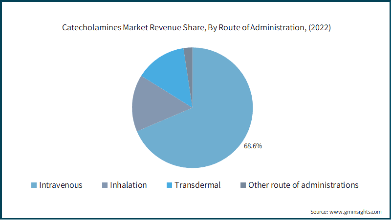  Catecholamines Market Revenue Share, By Route of Administration