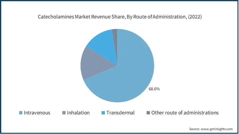  Catecholamines Market Revenue Share, By Route of Administration