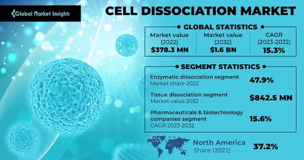 Cell Dissociation Market 