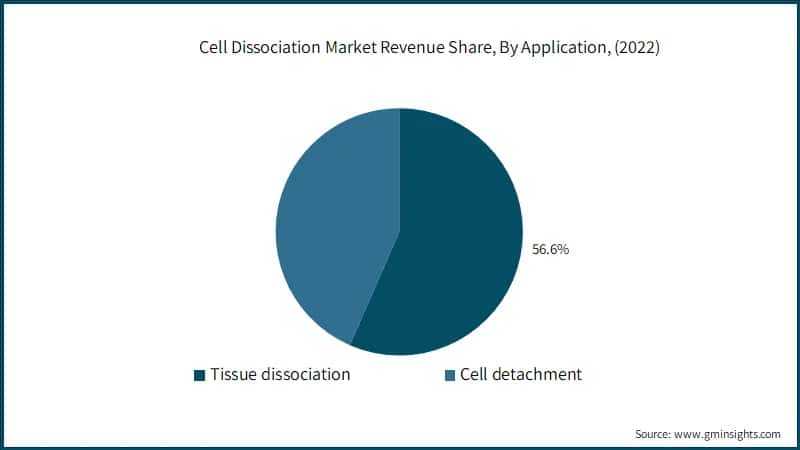 Cell Dissociation Market Revenue Share, By Application, (2022)